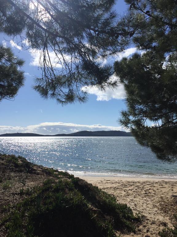 Villas Cala Corsa - 3 Et 4 Chambres - Cala Rossa Porto-Vecchio - Villas Entierement Climatisees Avec Piscine Chauffee Partagee Et Piscines Privees - Internet Gratuit Exterior foto