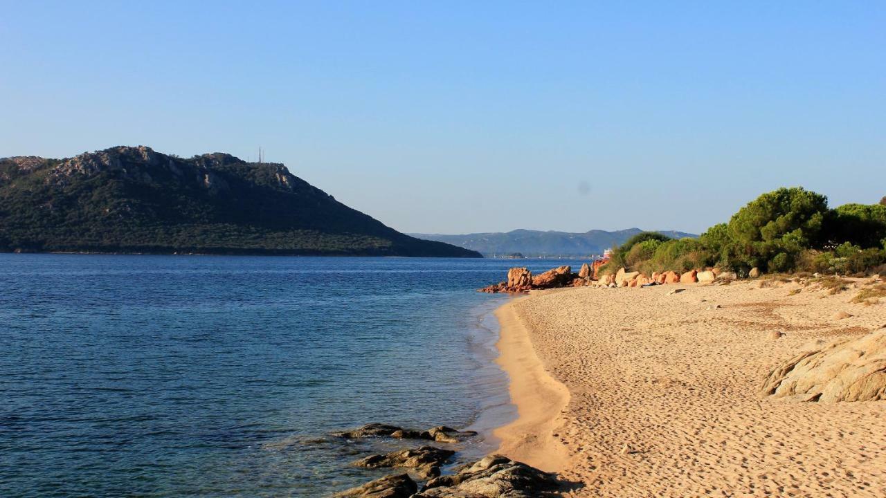 Villas Cala Corsa - 3 Et 4 Chambres - Cala Rossa Porto-Vecchio - Villas Entierement Climatisees Avec Piscine Chauffee Partagee Et Piscines Privees - Internet Gratuit Exterior foto